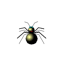 spider3.gif (129304 bytes)